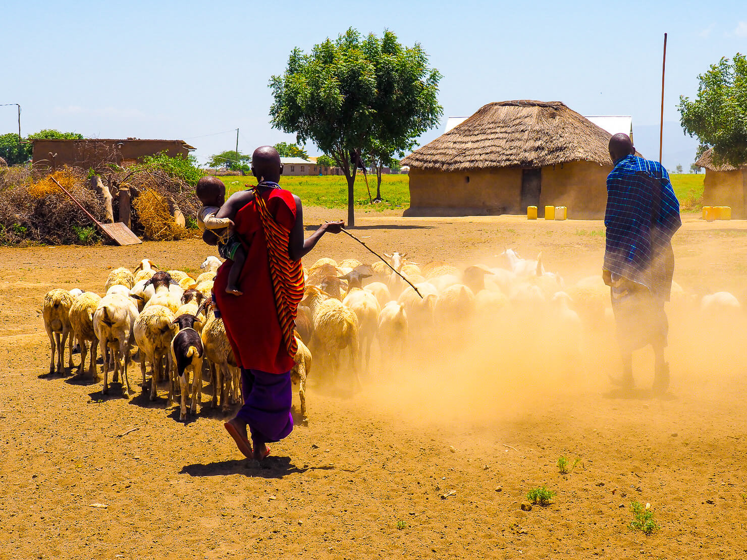 Visit to a Maasai Village in Tanzania - Rock My Adventure