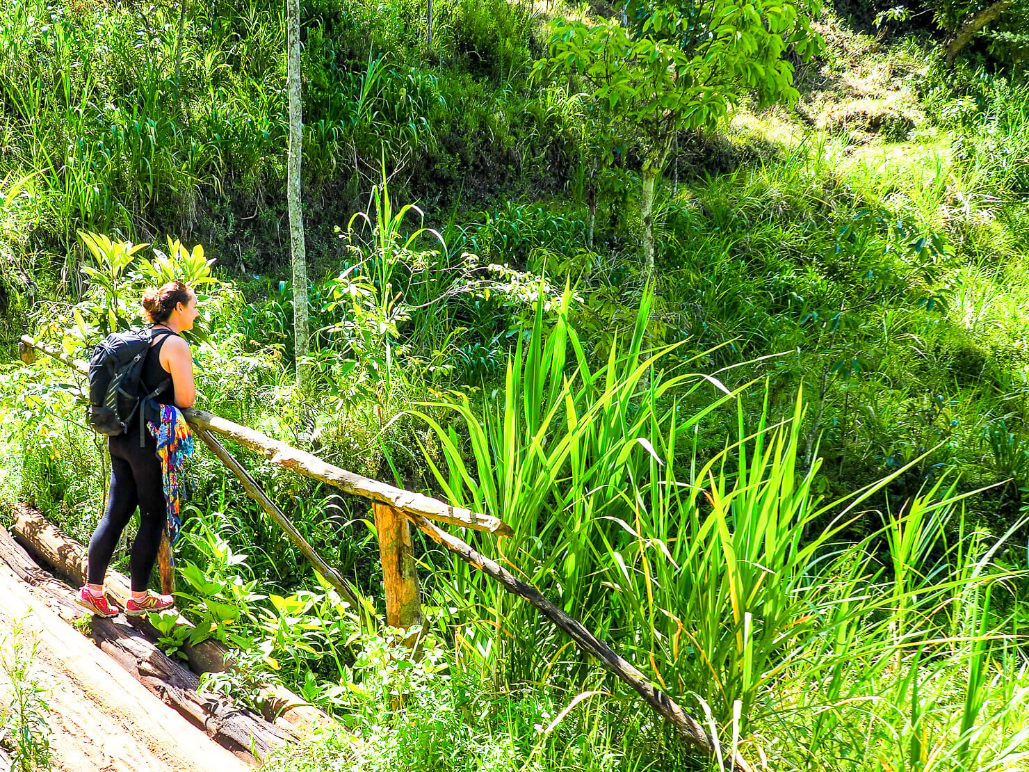 Materuni Village, Moshi - Rock My Adventure