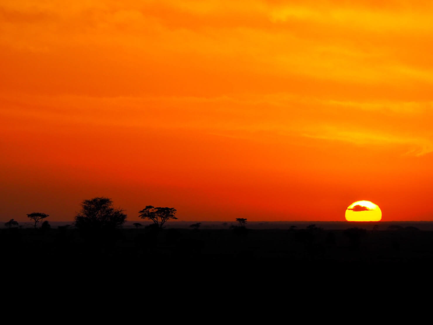 Sunrise in the Serengeti - Rock My Adventure