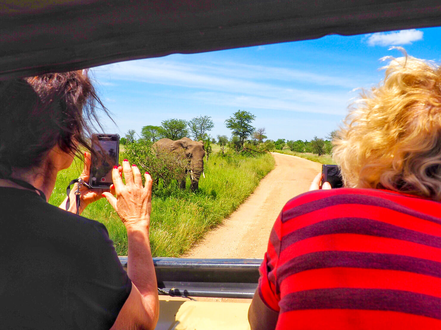 Serengeti & Ngorongoro Crater Safari 