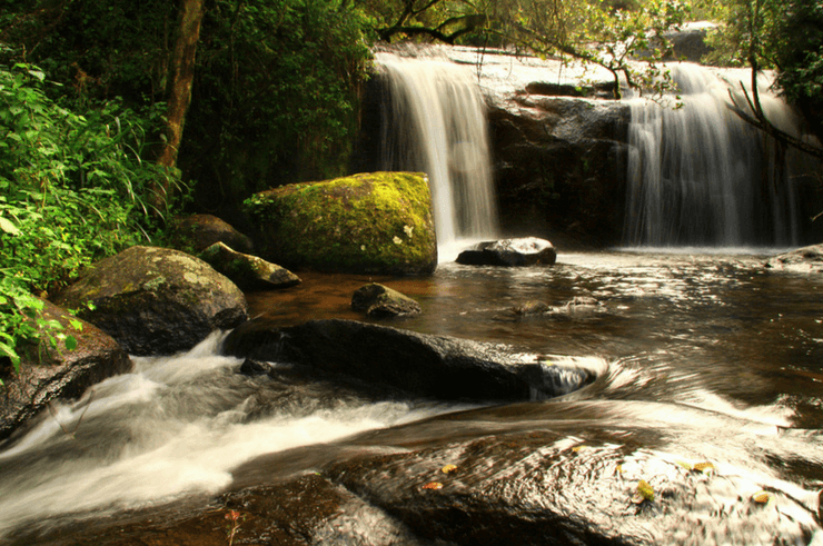 Zomba Plateau Malawi