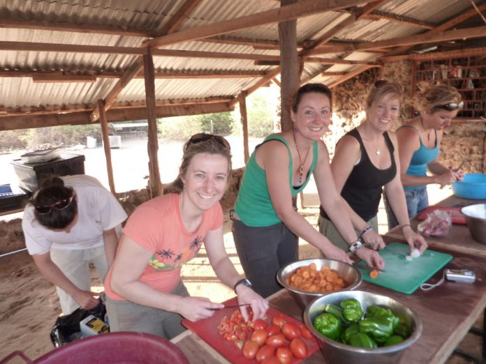 Weighing up the Pros and Cons of Travelling Africa Independently v's Taking an Organised Tour.