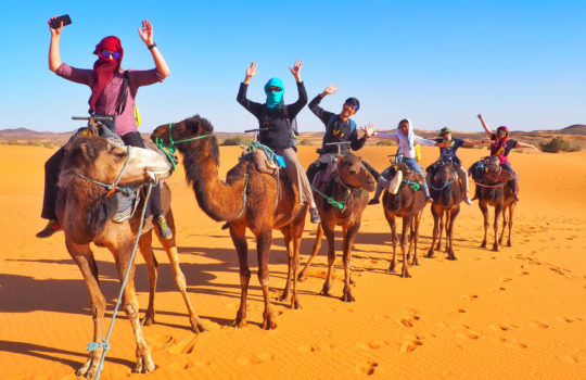 Weighing up the Pros and Cons of Travelling Africa Independently v's Taking an Organised Tour.