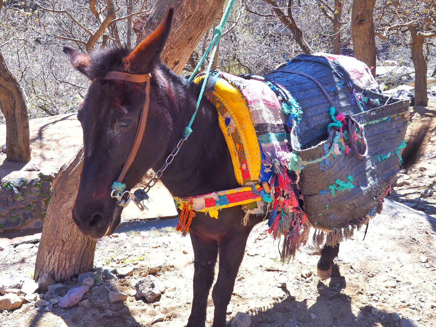 Imlil, Atlas Mountains Morocco Small Group Tour