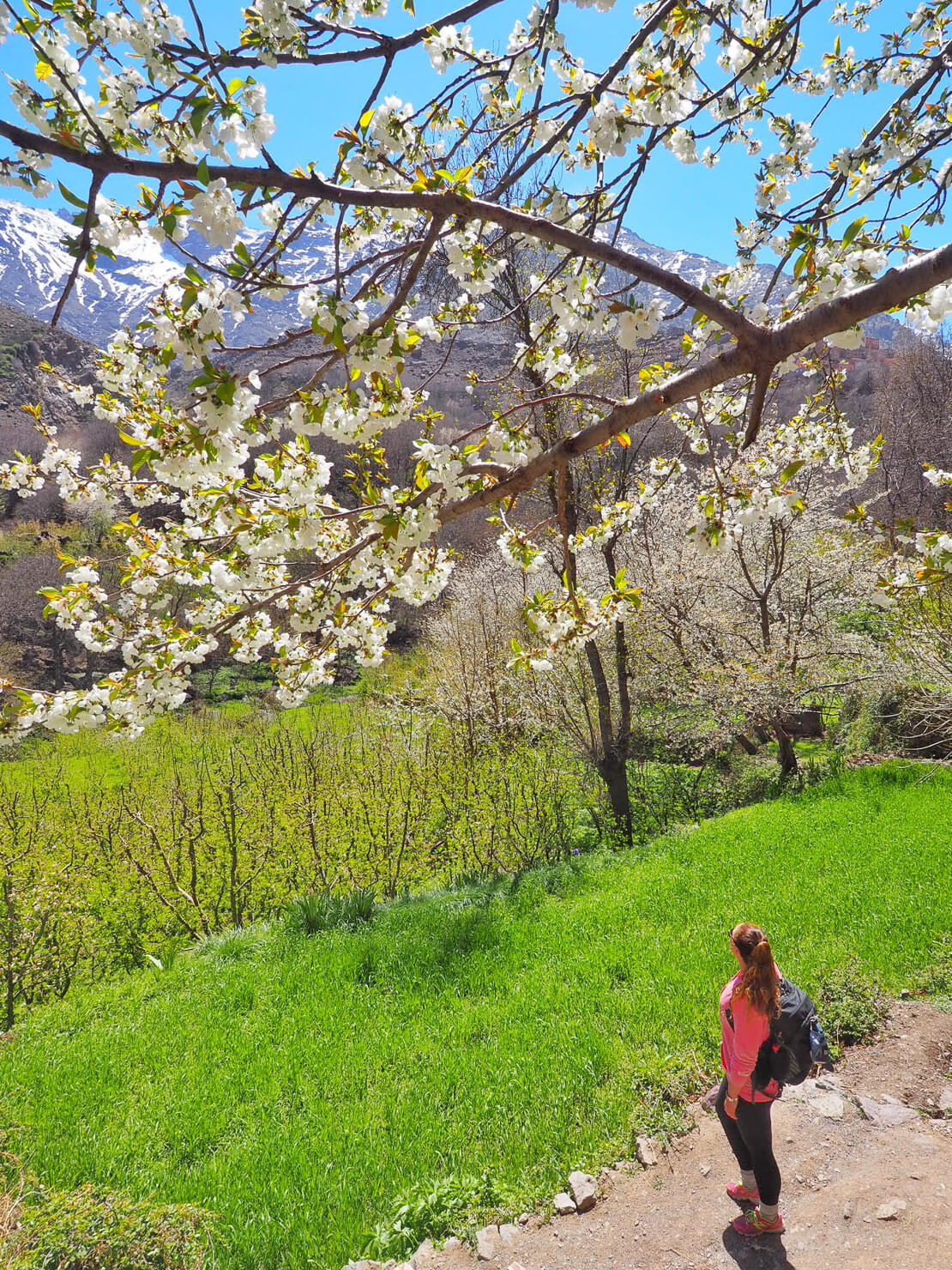 Imlil, Atlas Mountains Morocco Small Group Tour