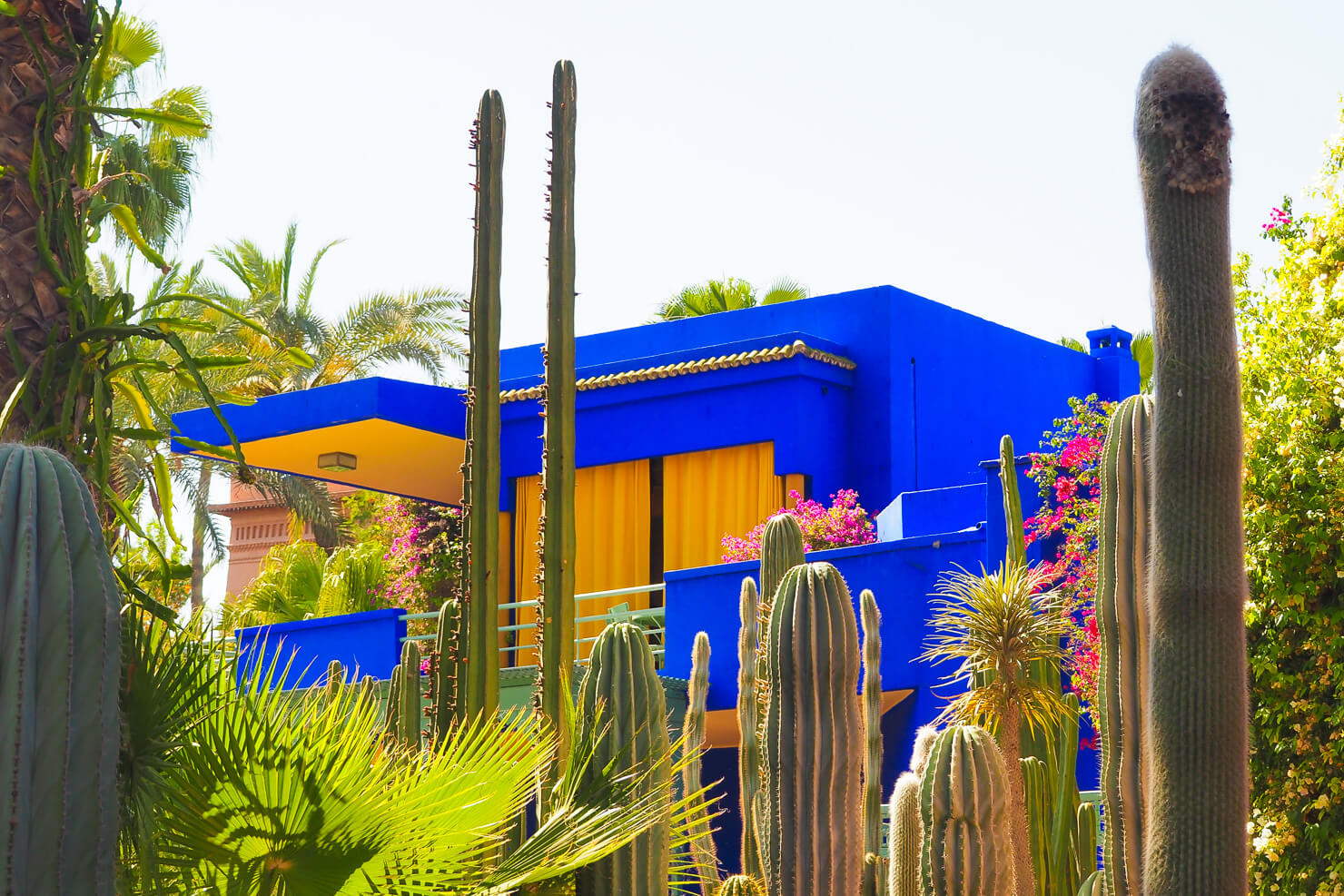 Jardin Majorelle Marrakech