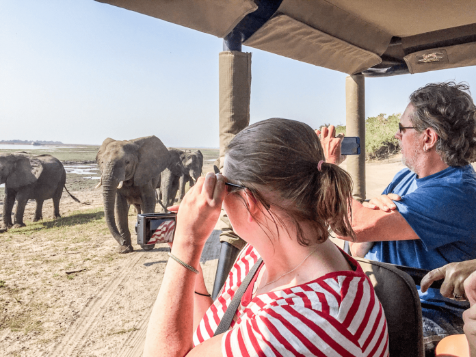 African Elephants - Helen in Wonderlust