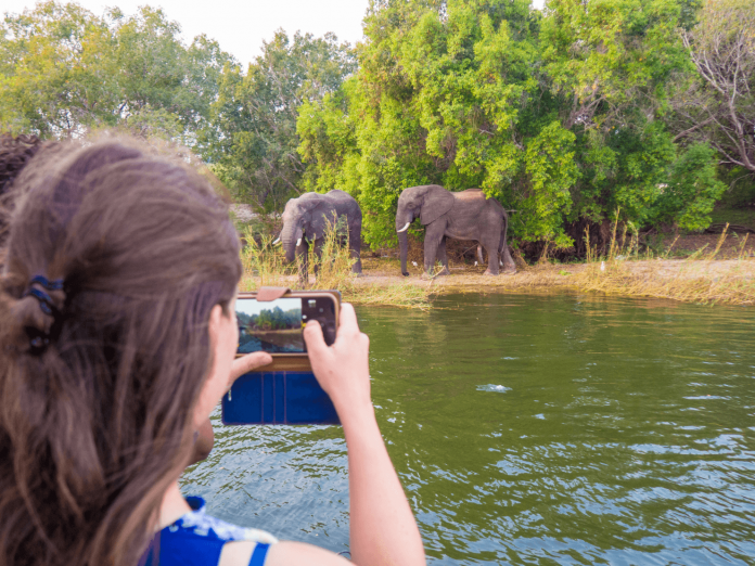 Sunset Cruise on the Zambezi River