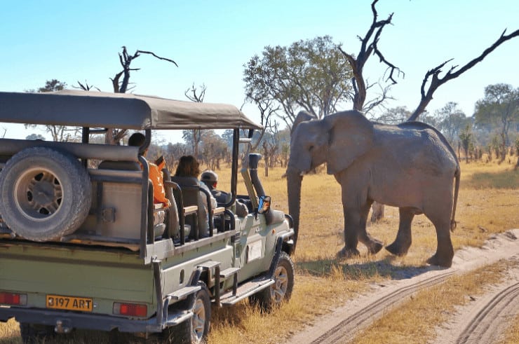 Safari in Botswana