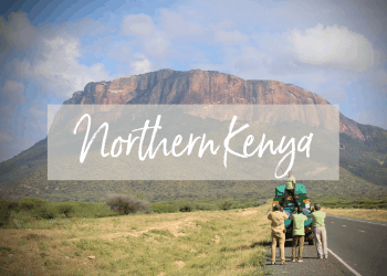 Northern Kenya Tour