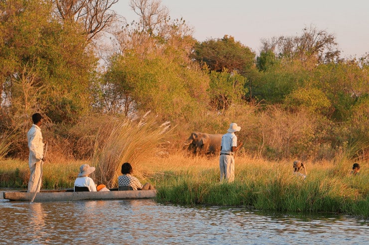 Okavango Delta Botswana - Rock My Adventure Tours