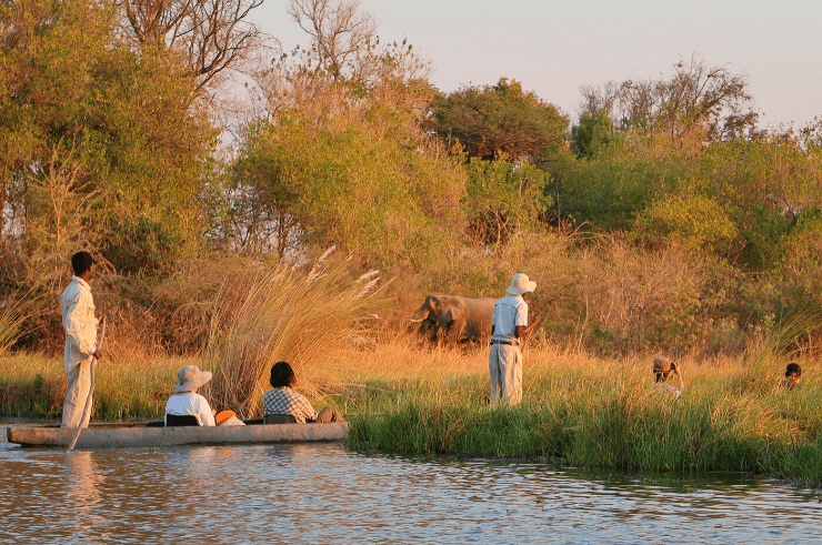 Delta de l'Okavango au Botswana - Rock My Adventure Tours
