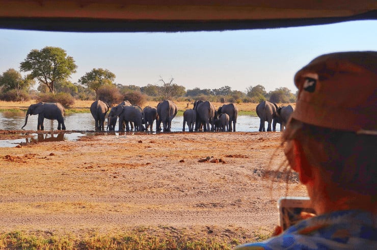 Khwai Concession & Moremi Game Reserve Botswana - Rock My Adventure Tours