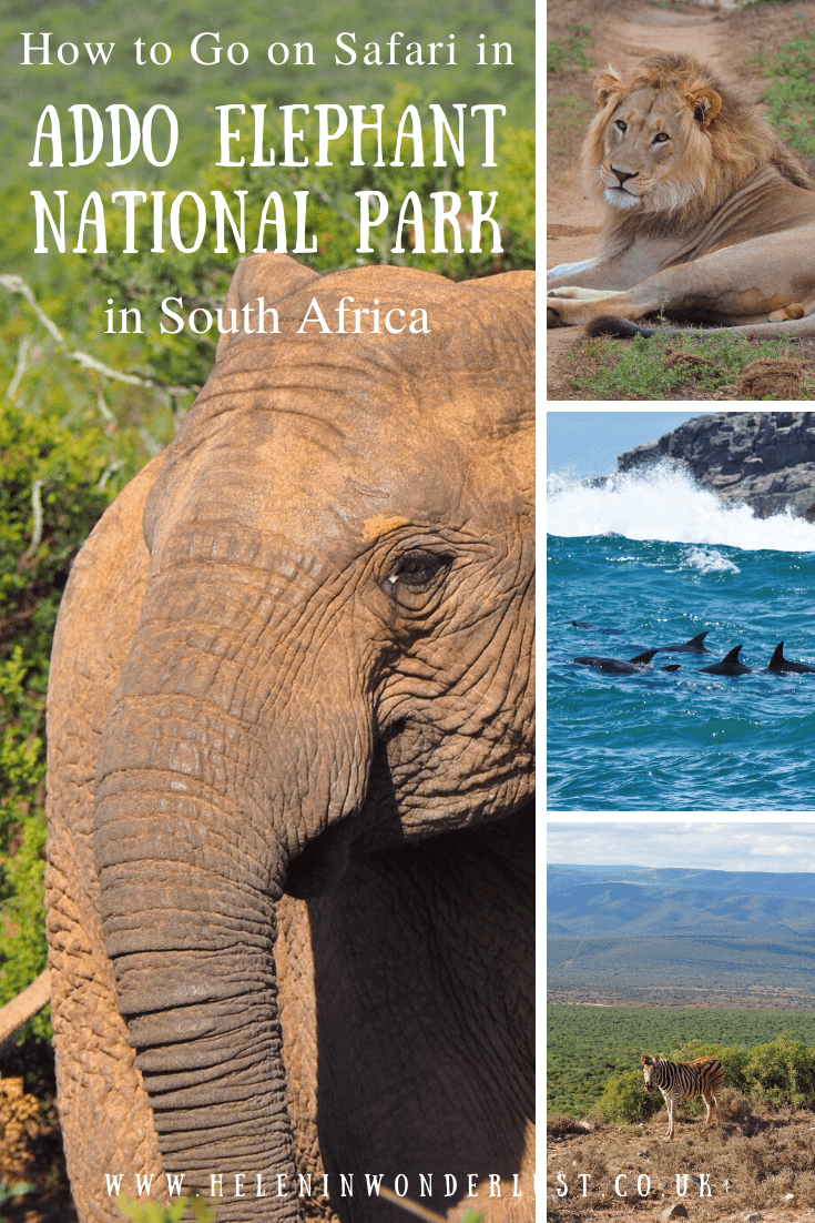Safari in Addo Elephant Park SANParks Addo Elephant Rest Camp