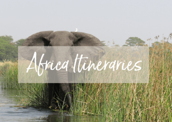 Africa Itineraries