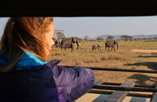 Serengeti, Tanzania