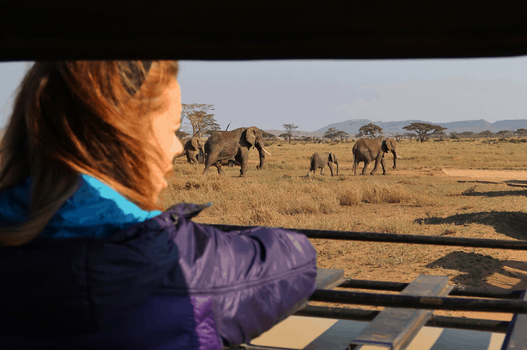 Serengeti, Tanzanie