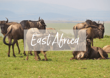 East Africa