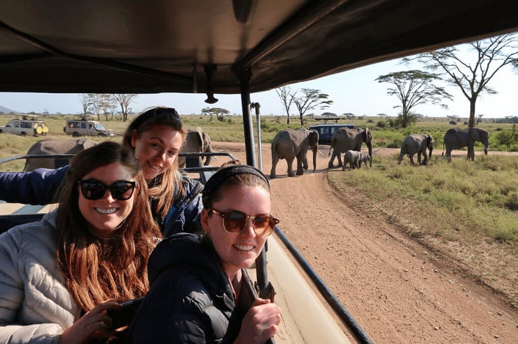 Serengeti Group Tour