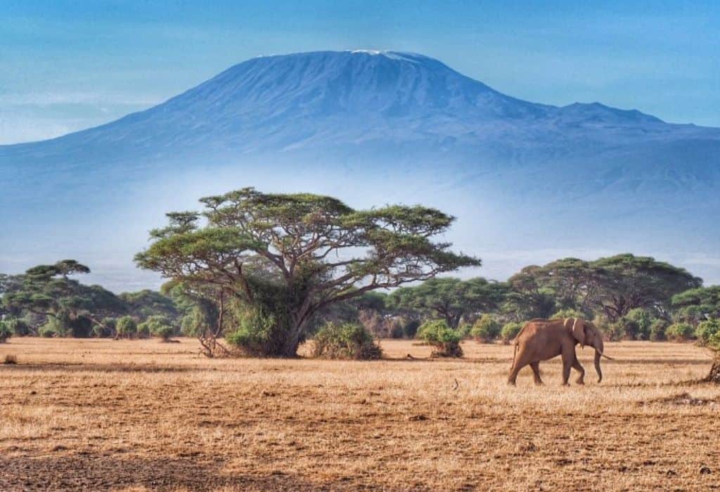 kenya vs tanzania safari reddit