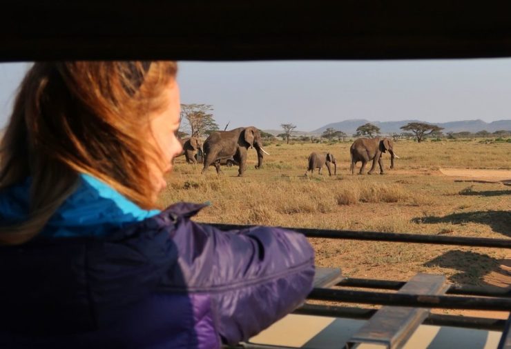Girl looking at a herd of elephants in the Serengeti