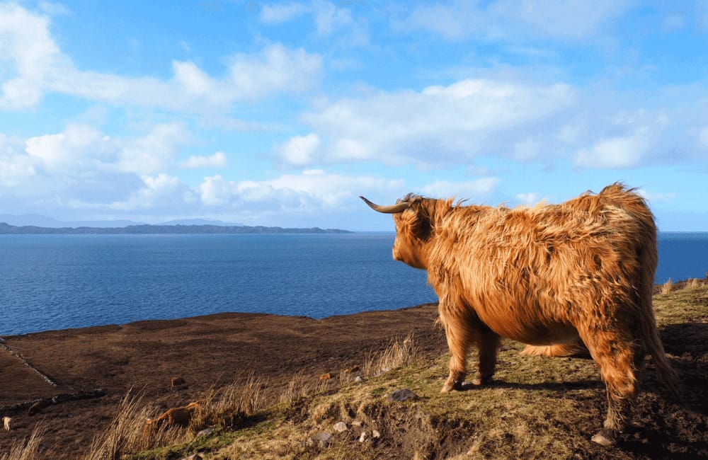 North Coast 500, Scotland