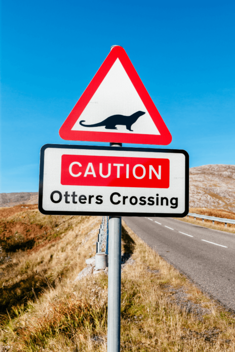 Otters Crossing, Outer Hebrides, Scotland