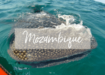 Mozambique Travel Guide