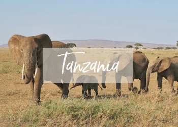 Guía de viaje de Tanzania