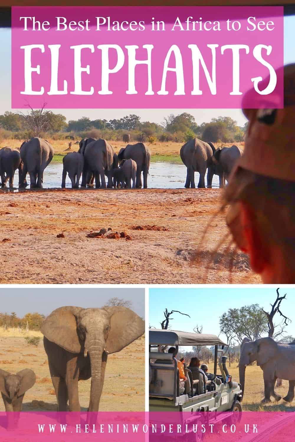 The Best Places in Africa to See Elephants