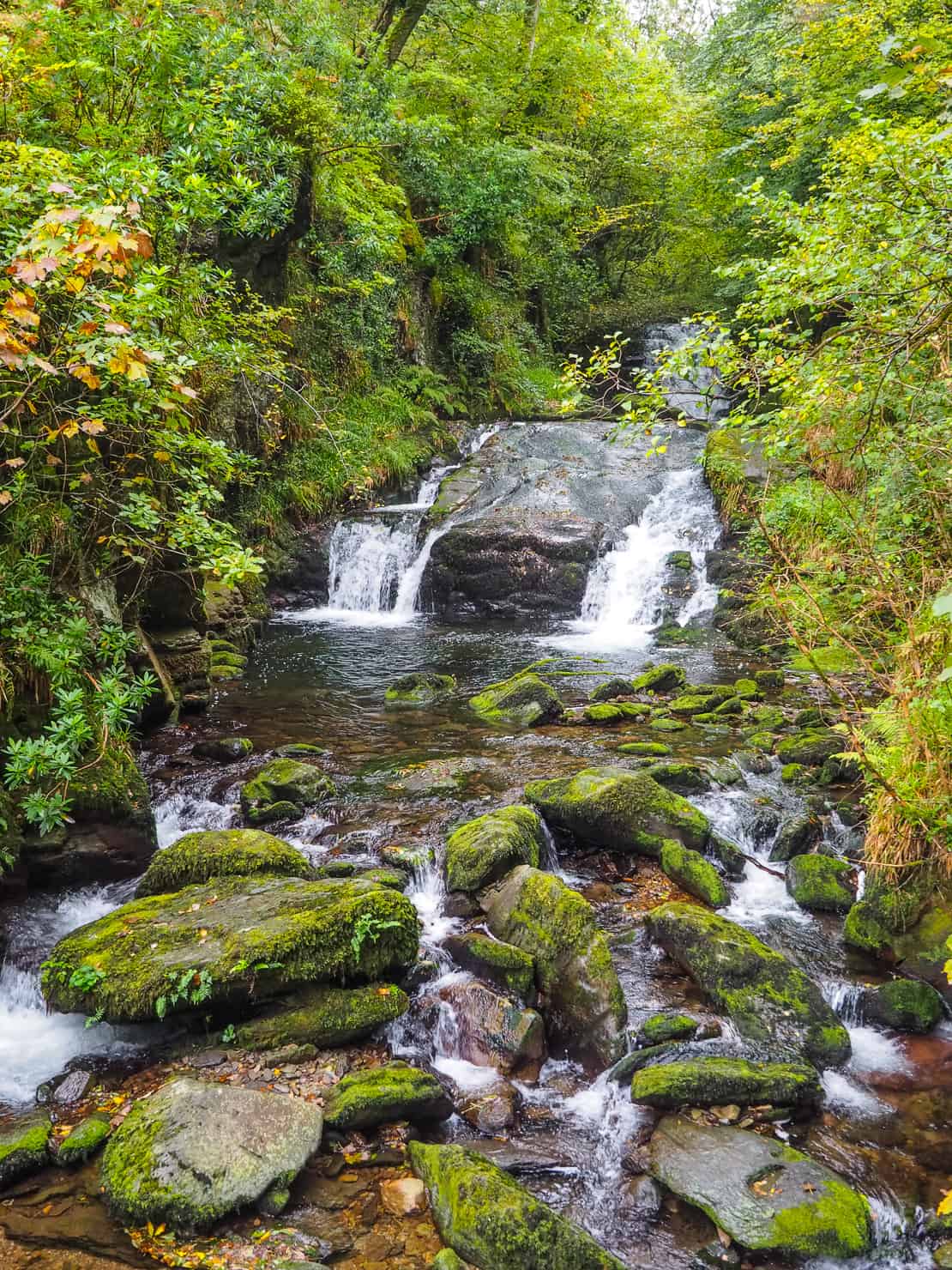 National Trust - Watersmeet - North Devon