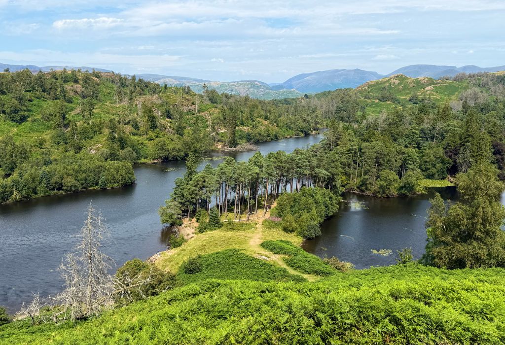 Tarn Hows in Summer - Lake District