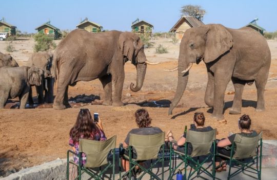 Elephant Sands - Botswana