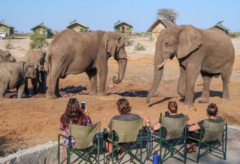 Elephant Sands - Botswana