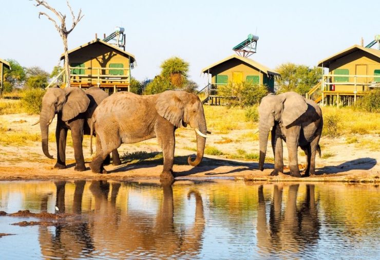 Elephant Sands - Botswana