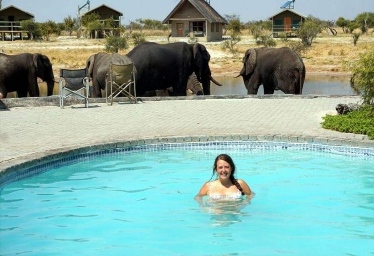 Elephant Sands - Botswana