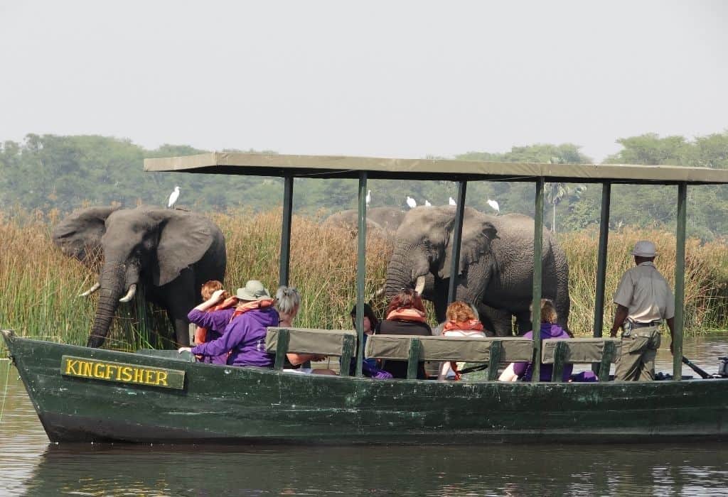Safaris in Southern Africa - Boat safari in Liwonde National Park, Malawi
