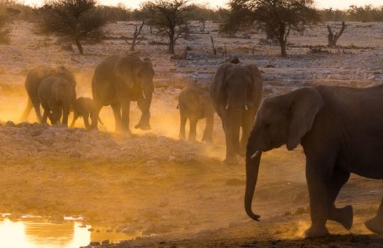 Namibia Group Tour