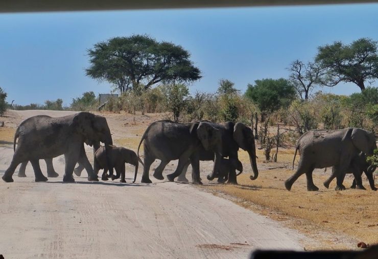 Okavango Delta - Botswana