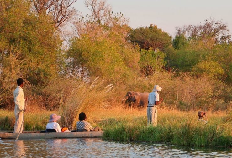 Okavango Delta - Botswana