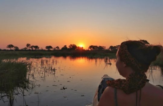 Sunset Mokoro Ride Okavango Delta - Botswana