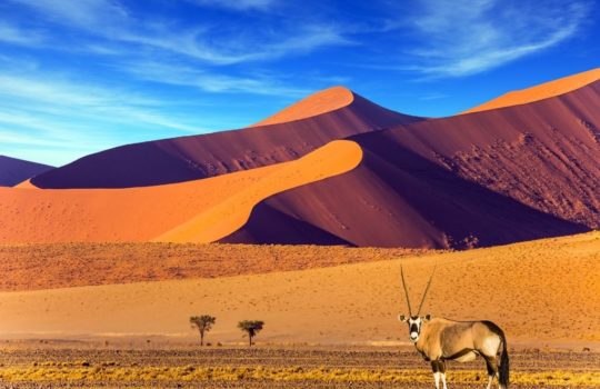 Sossusvlei, Namibia