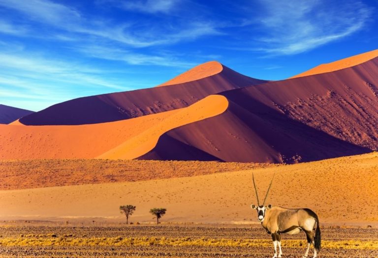 Sossusvlei, Namibia