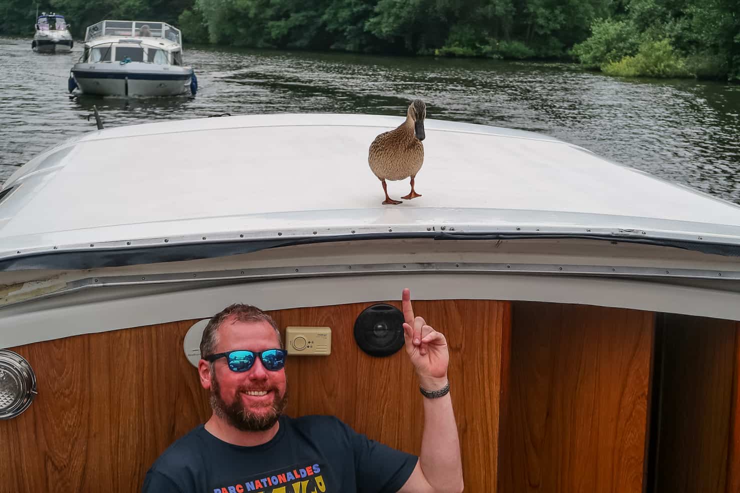 Duck in the Norfolk Broads