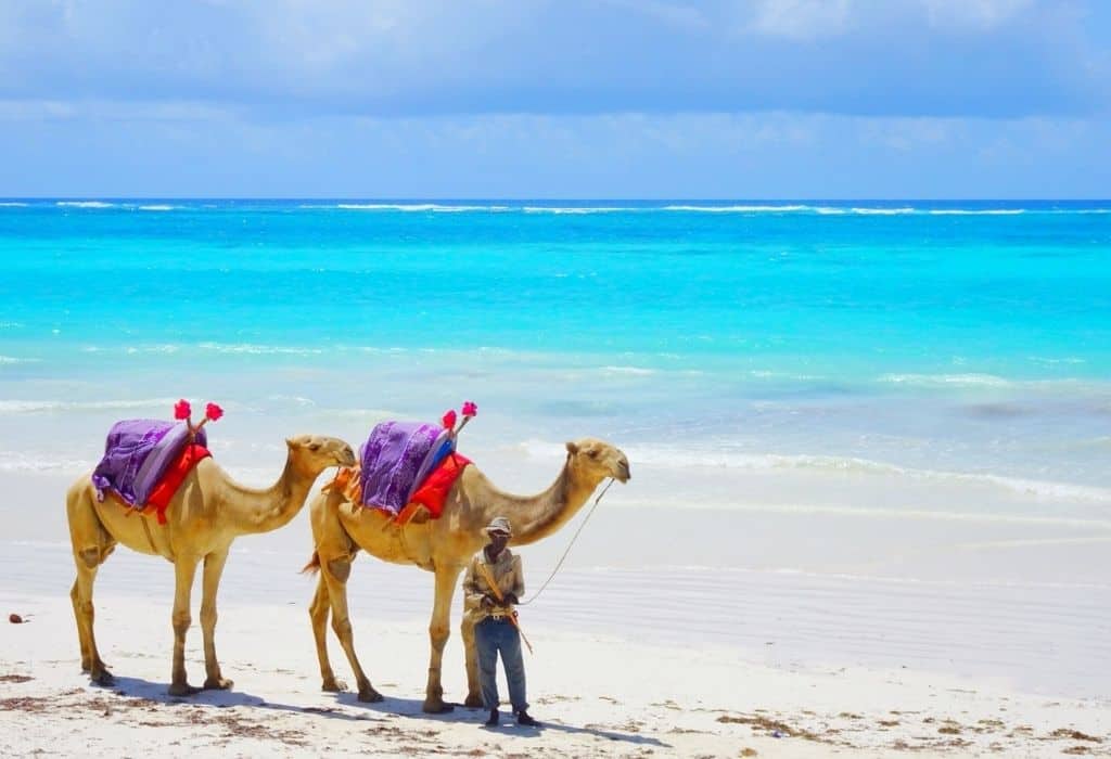 Diani Beach - Kenya