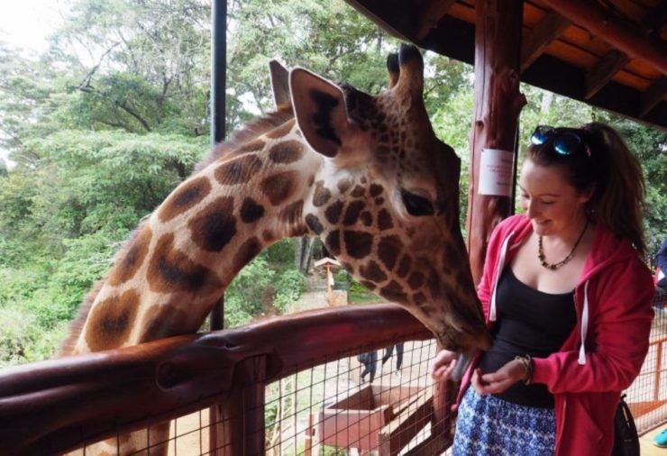 Nairobi Giraffe Centre