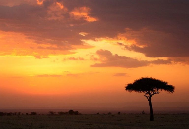 Serengeti, Tanzania