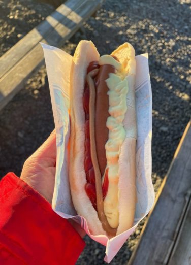 Hot Dog, Iceland