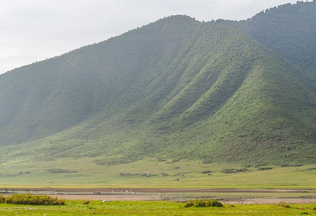 Ngorongoro Crater Tanzania