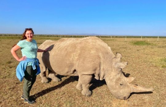 safari jumper outfit Helen in Wonderlust with Najin, one of the last Northern White Rhinos